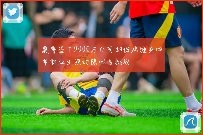 夏普签下9000万合同却伤病缠身四年职业生涯的隐忧与挑战