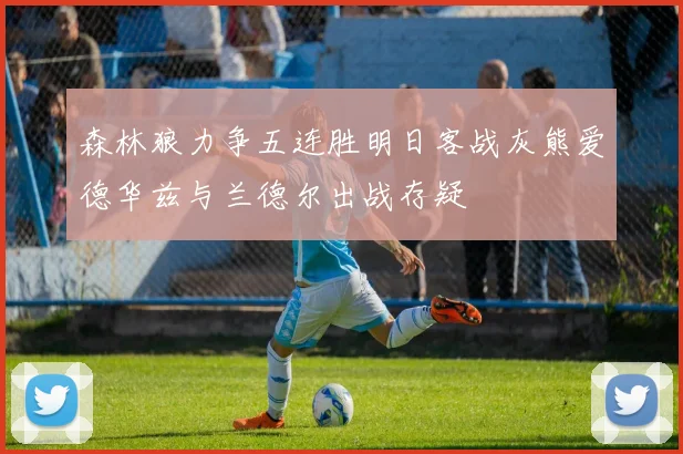森林狼力争五连胜明日客战灰熊爱德华兹与兰德尔出战存疑